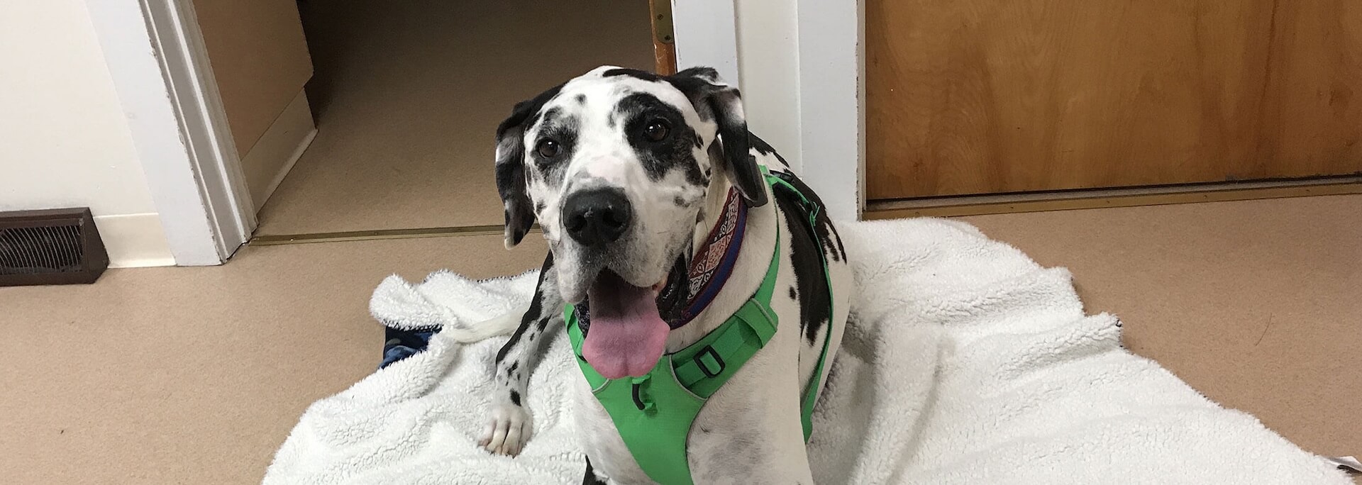 Veterinary clinic in Ithaca
