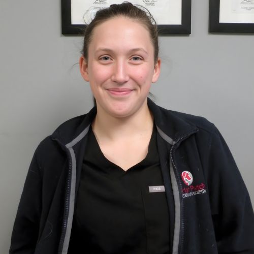 Alexis Briar Patch Vet Ithaca NY