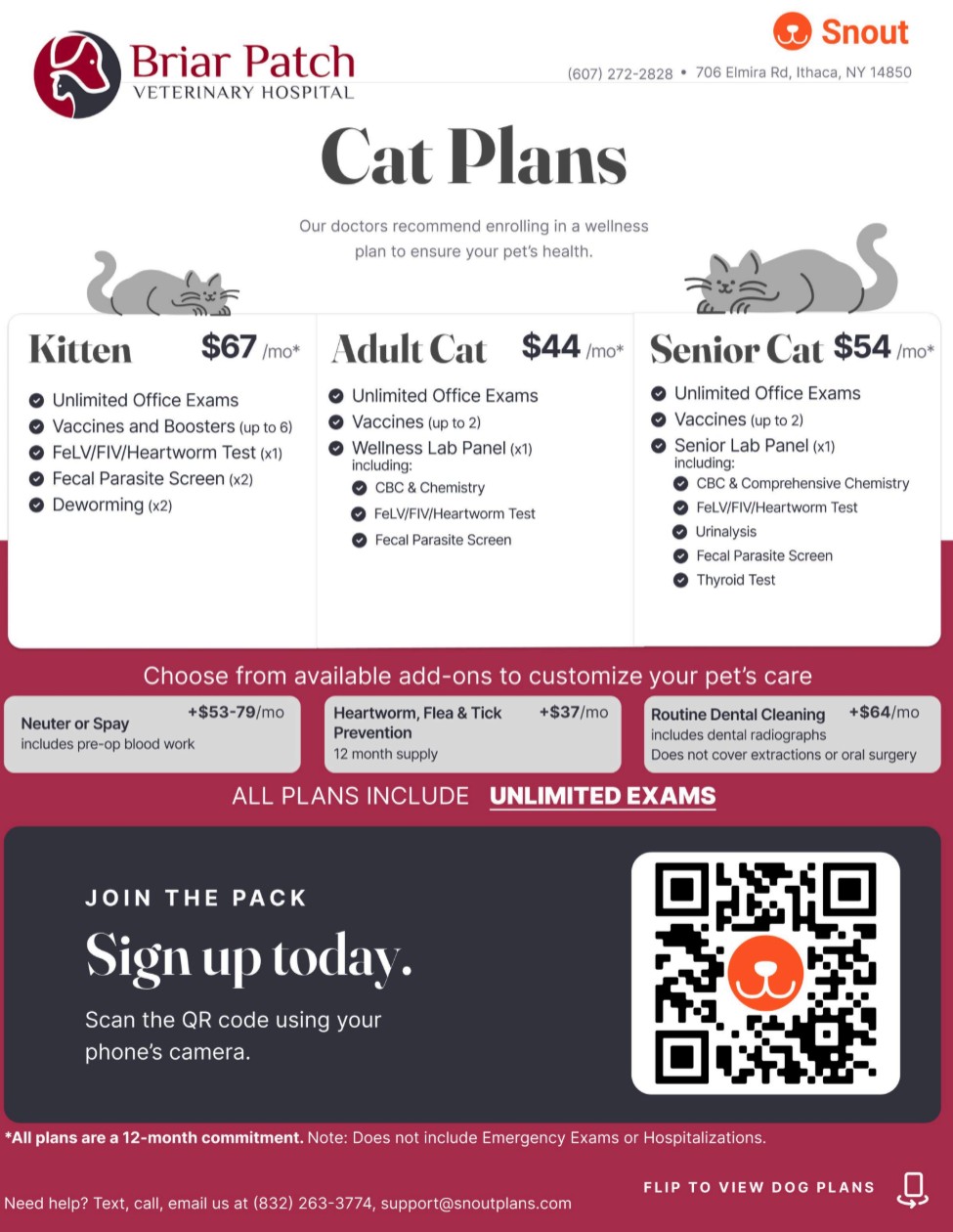 Cat Wellness Plans Briar Patch Vet  Cat Wellness Plans Briar Patch Vet Ithaca NY