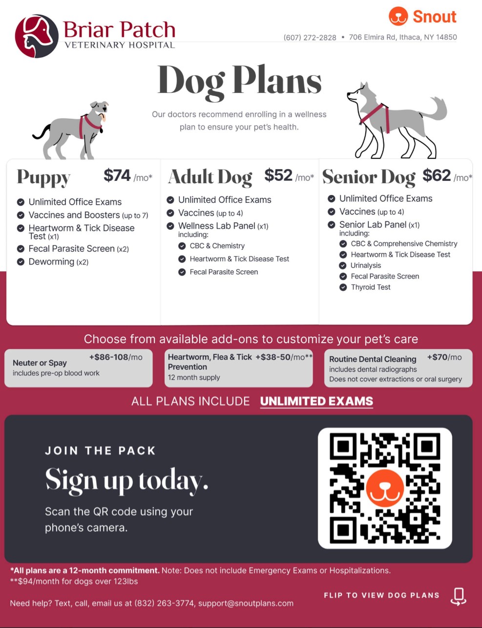 Dog Wellness Plans Briar Patch Vet Ithaca NY