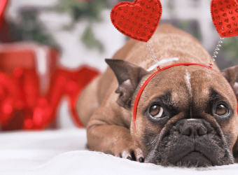 Top 5 Valentine's Day Toxins!