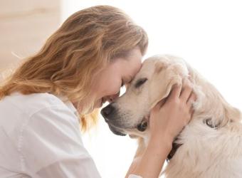 Tiny Chip, Big Protection: Why Microchipping Your Pet Matters